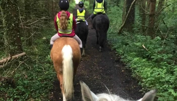 Ayr Equestrian - Ayr