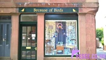 Because Of Birds - Kirriemuir Dd8 4Hd