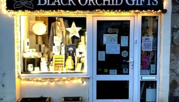 Black Orchid - Alness