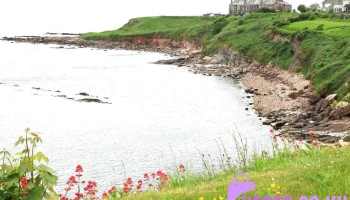 Crail Beach Fossils - Anstruther