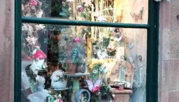 Droopy Dandelion - The Scottish Fairy Shop - Innerleithen Eh44 6Hd