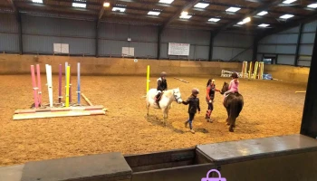 Everything Equestrian - Busby