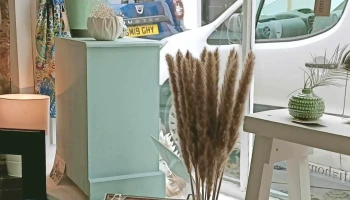 Fifi at Home - Anstruther