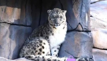 Five Sisters Zoo - West Calder Eh55 8Pt