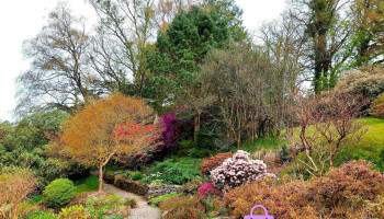 Glenarn Gardens - Rhu