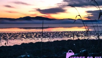 Invergowrie - Invergowrie