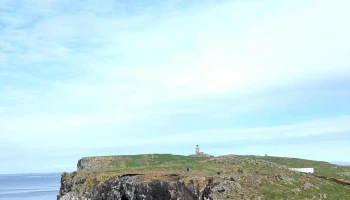 Isle of May Boat Trips - Anstruther