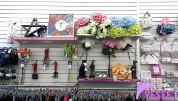 Kirkcaldy Pdsa Charity Shop - Kirkcaldy Ky1 1Jw