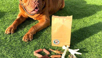 Marley & Co Pet Supplies - Broxburn