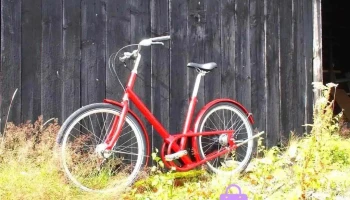 Paper Bicycle - Fenwick Ka3 6By