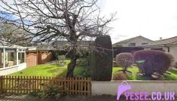 Stitches - Forres Iv36 1Fd