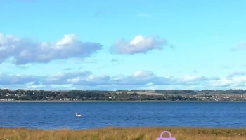 Tayport Common - United Kingdom