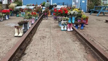 Welly Garden - St Monans