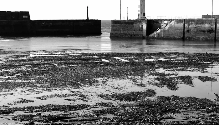 Anstruther Harbour - Anstruther