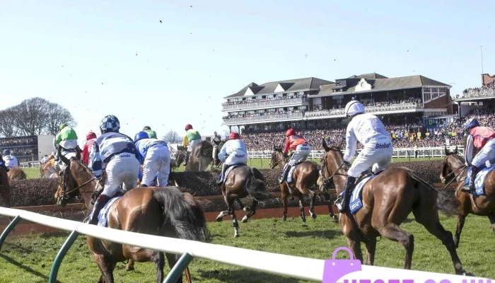 Ayr Racecourse -  All - Ayr