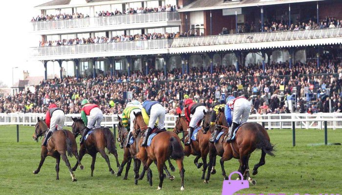 Ayr Racecourse -  Horse - Ayr