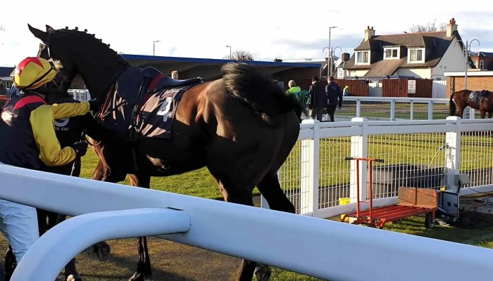 Ayr Racecourse -  Promotion - Ayr