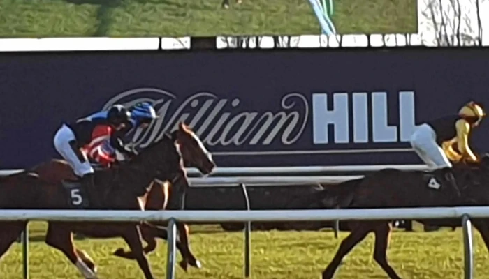 Ayr Racecourse -  Website - Ayr