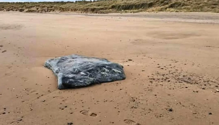 Balmedie Beach -  Discounts - Aberdeen