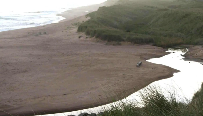 Balmedie Beach -  Near Me - Aberdeen