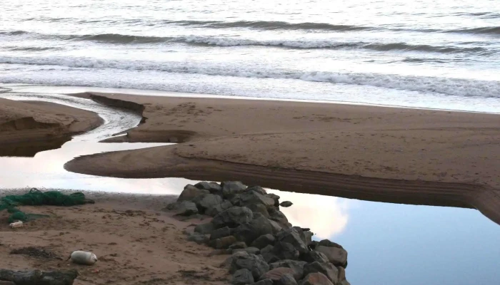 Balmedie Beach -  Reviews - Aberdeen