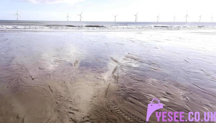 Balmedie Beach -  Videos - Aberdeen