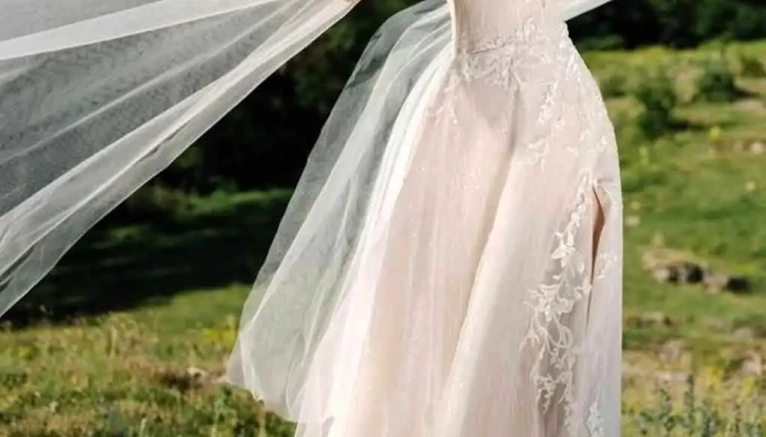 Be Our Bride Belle Of The Ball Hamilton Bride - Hamilton