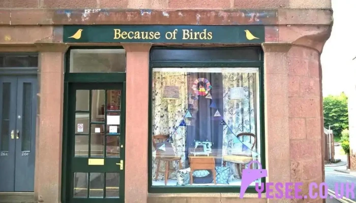 Because Of Birds - Kirriemuir Dd8 4Hd