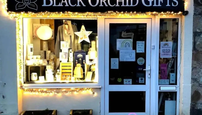 Black Orchid - Alness