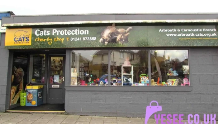 Cats Protection -    Arbroath Charity Shop All - Arbroath