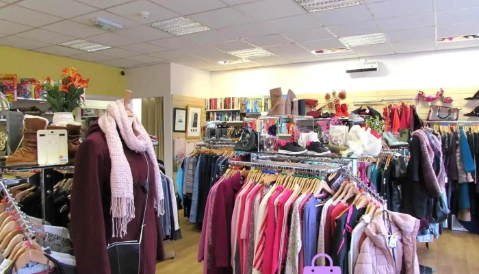 Cats Protection -    Arbroath Charity Shop By Owner - Arbroath
