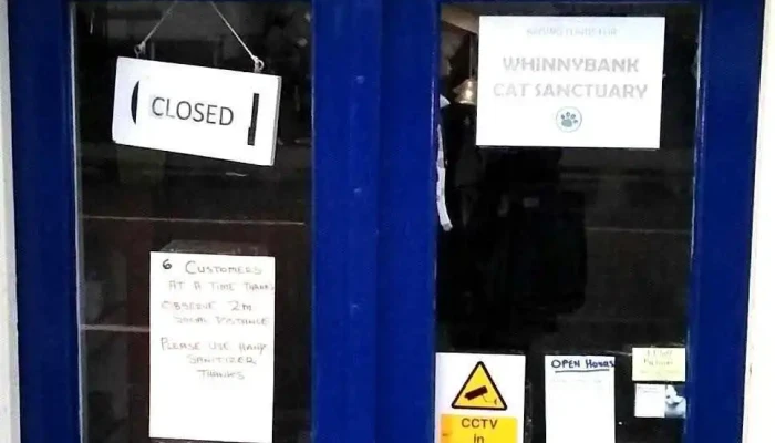 Charity Cat Shop - Newburgh