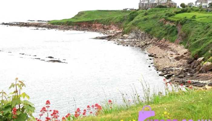 Crail Beach Fossils -  All - Anstruther