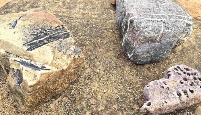 Crail Beach Fossils -  Anstruther - Anstruther