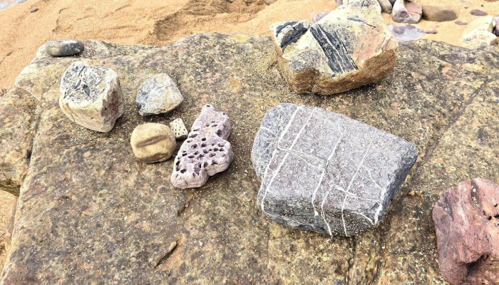 Crail Beach Fossils -  Nature Preserve - Anstruther