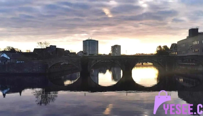 Diane Honeyman -  All - Ayr