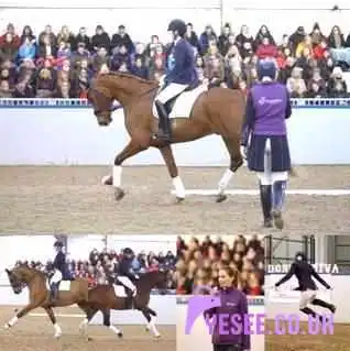 DonnaDiva Equestrian (now closed). - Bathgate
