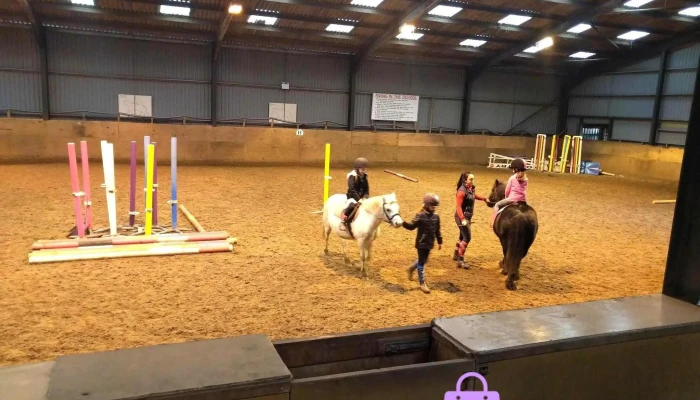 Everything Equestrian - Busby