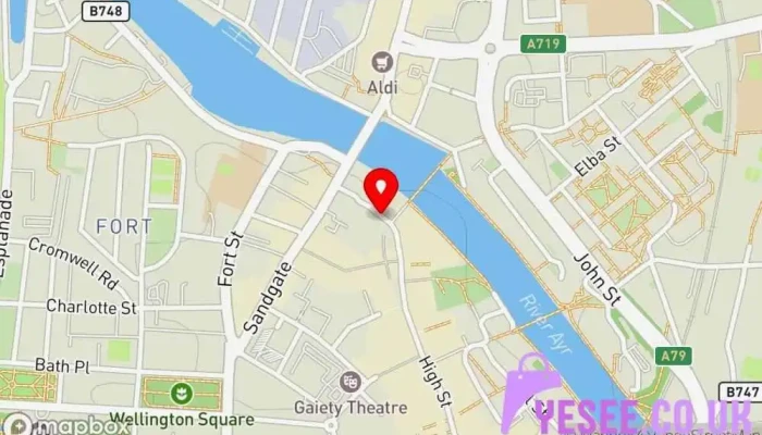 Eves Earrings -  Map - Ayr