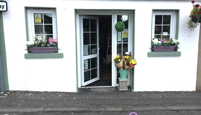 Flowers by Aileen - West Kilbride Ka23 9Ap