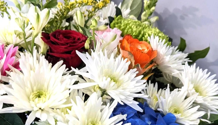 Flowers By Isabel -  Phone - Glasgow