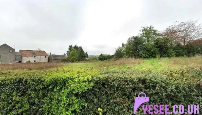 Fox Hat - Cupar