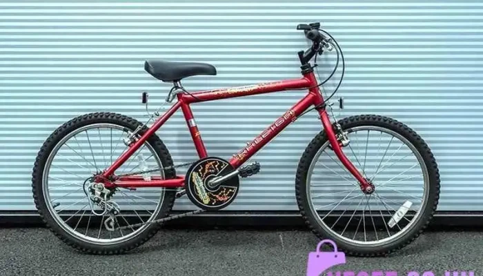 G64 Cycles -  Mountain Bike - Glasgow