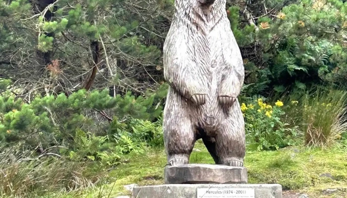 Hercules the Bear Sculpture - Isle Of North Uist Hs6 5Ha