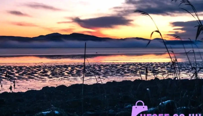 Invergowrie - Invergowrie