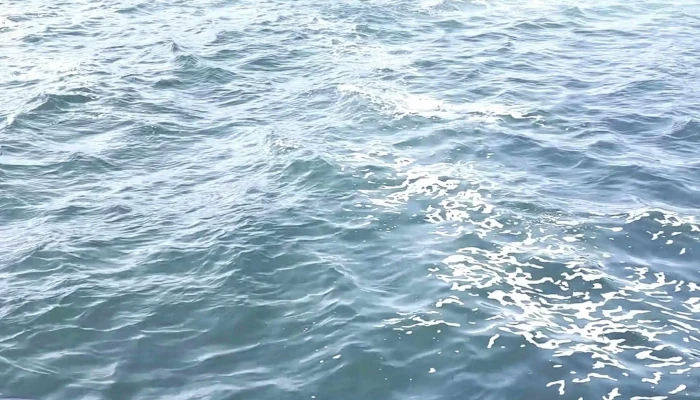 Isle Of May Cruises May Princess Anstruther Pleasure Cruises Boat Tour Agency - Anstruther