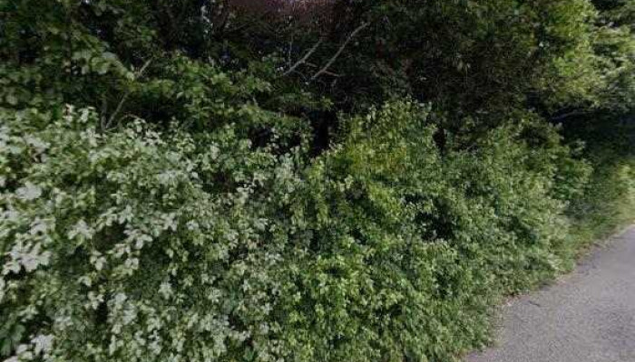 Jd Pierce Contracts Ltd Street View 360deg - Beith