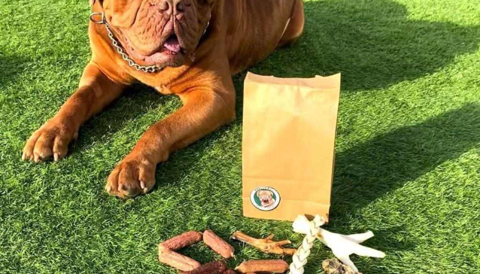 Marley & Co Pet Supplies - Broxburn