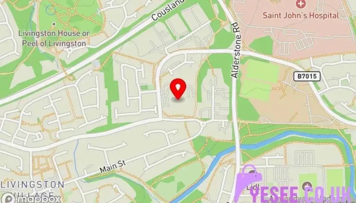 Mickmick Designs Map - Livingston