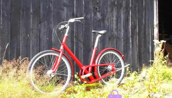 Paper Bicycle - Fenwick Ka3 6By
